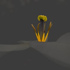 tulp-standard.jpg
