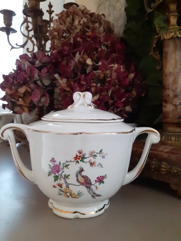 POT A SUCRE OISEAU IMAGINAIRE