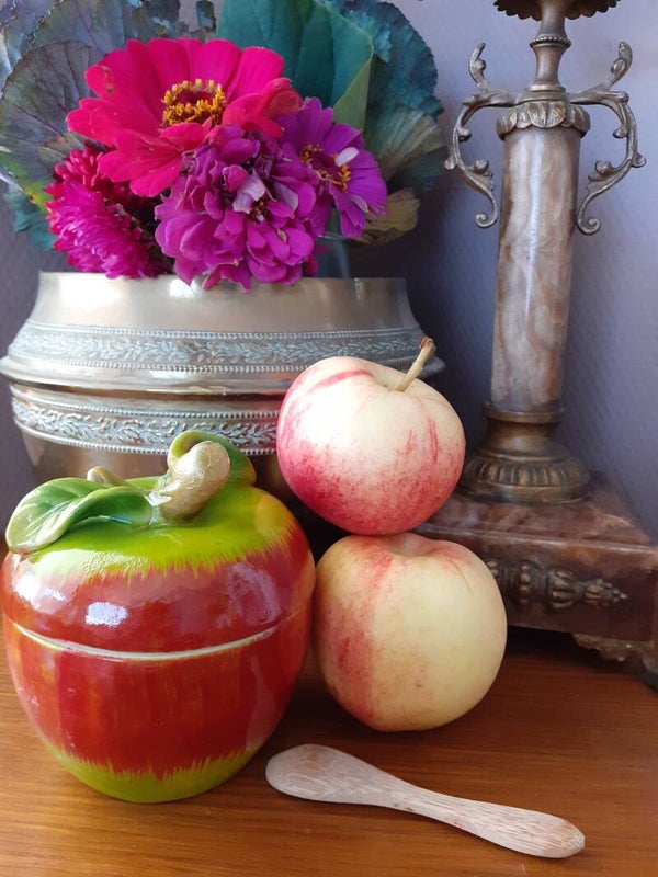 Barbotine POMME