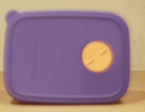 Tupperware Diepvries bewaardoos met maand indicate