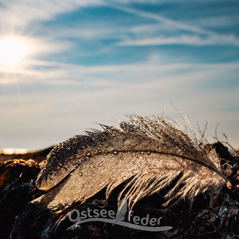 bild861-3.jpg