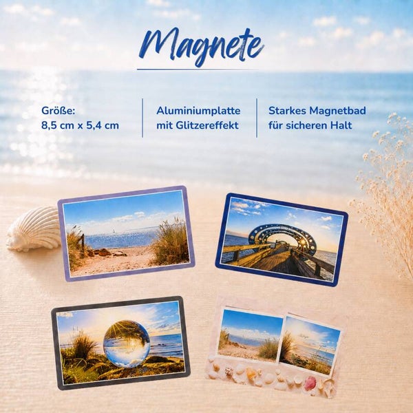 Magnet