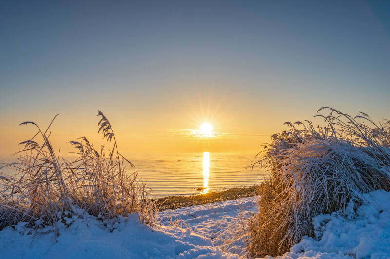 bild-101-blauer Abel