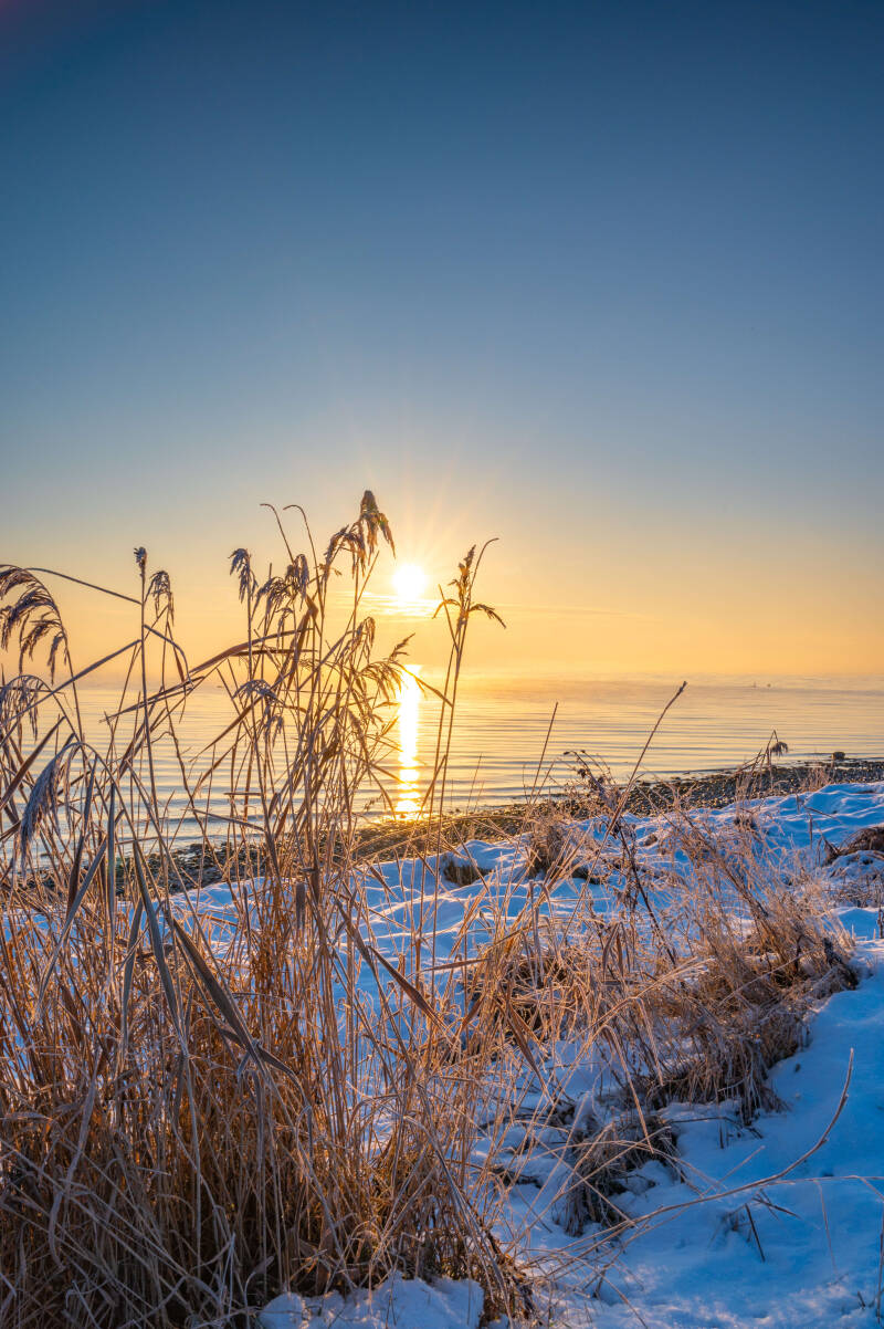 bild-103-blauer Abel