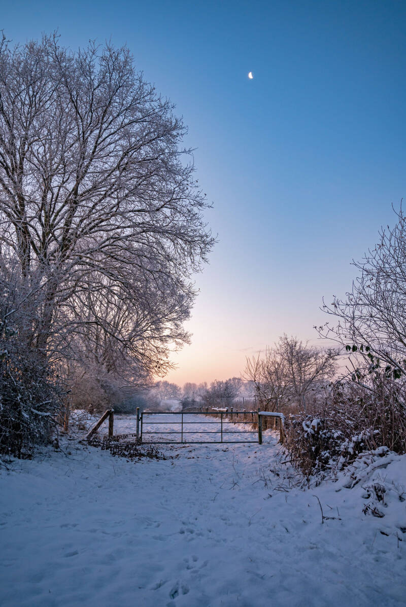 bild-107-blauer Abel