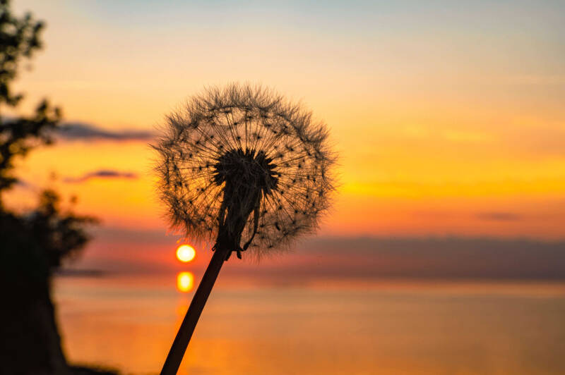 bild-16-weissenhäuser Strand