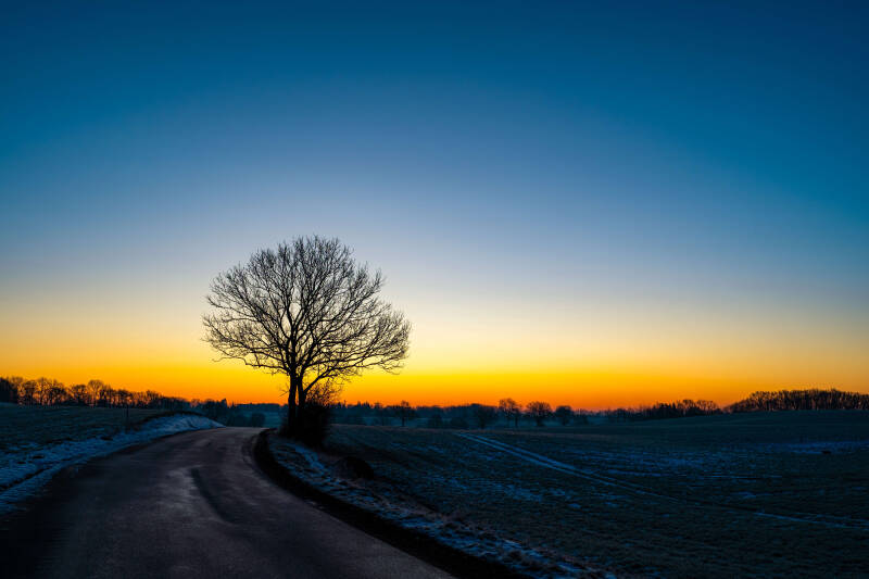 bild-19-baum-brodau