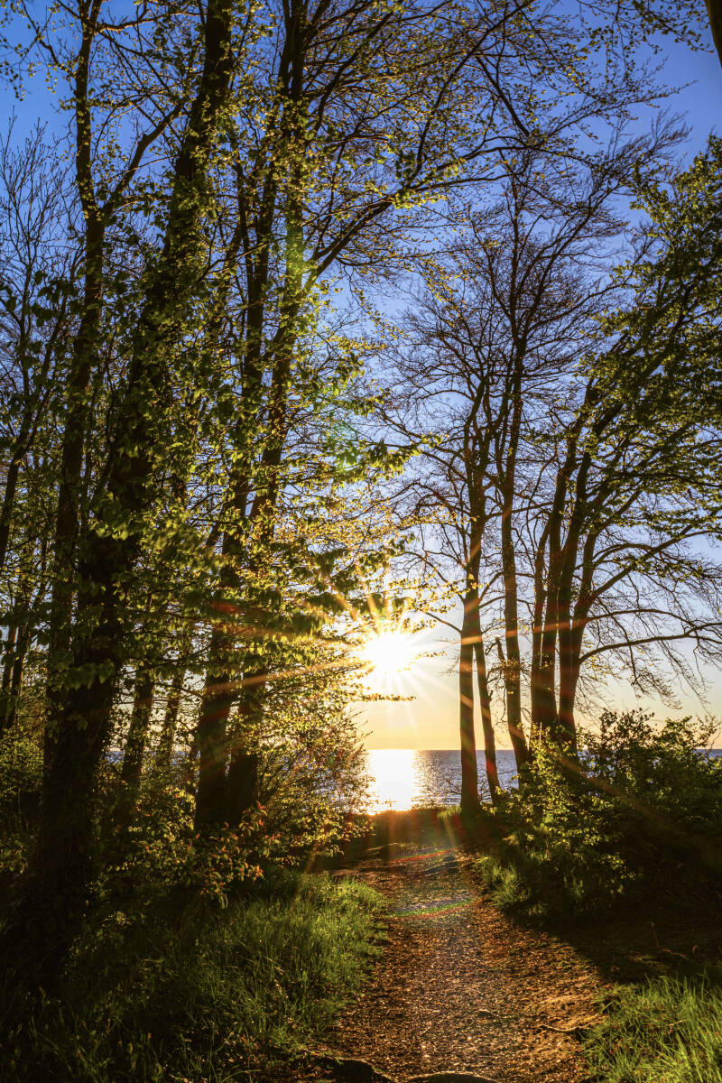 bild-199-bliesdorf