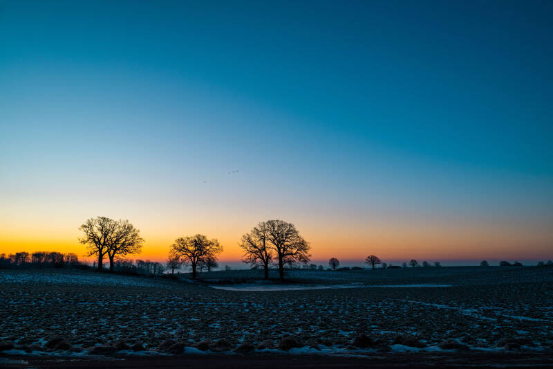 bild-20-baum-brodau