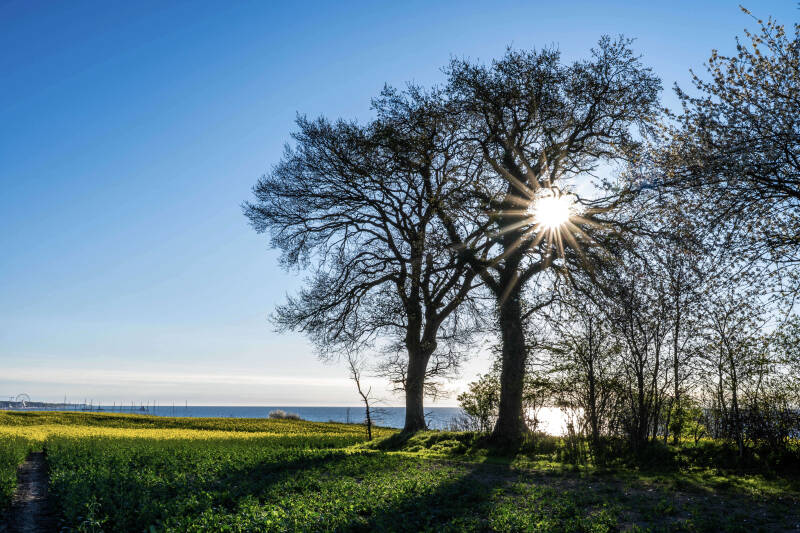 bild-209-bliesdorf