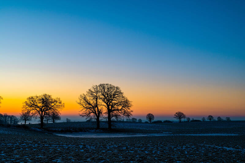 bild-21-baum-brodau