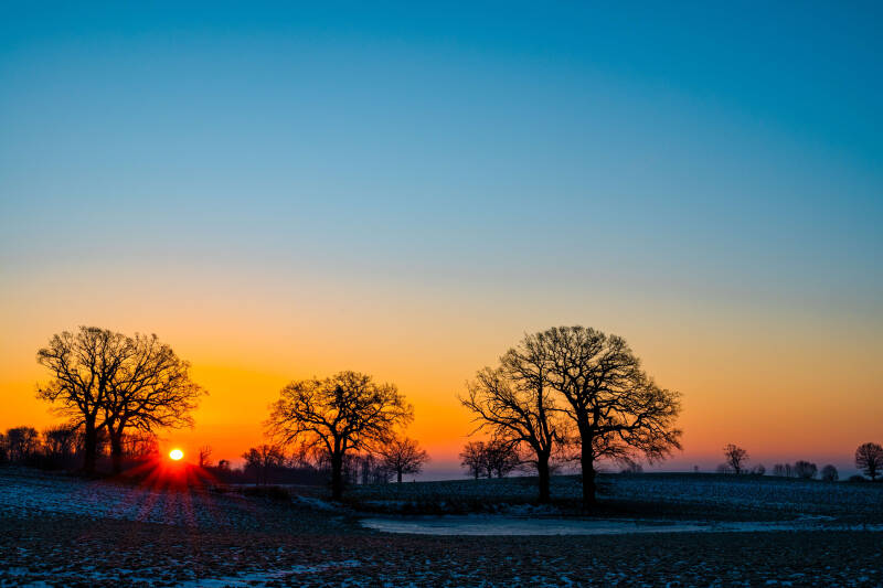 bild-33-Baum brodau