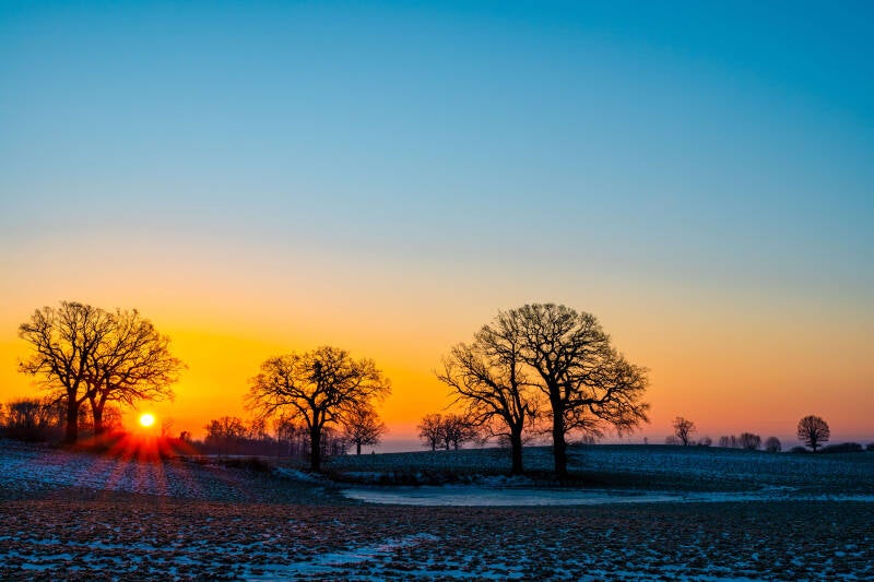 bild-34-Baum brodau
