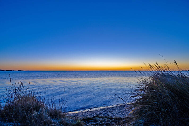 bild-6-Blauer Abel