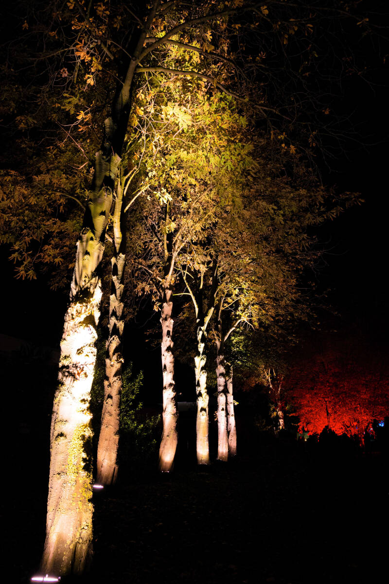 bild-6-grömitz - Kurpark