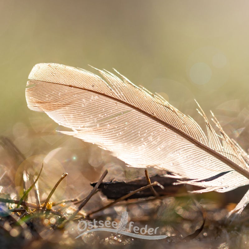 bild0333.jpg