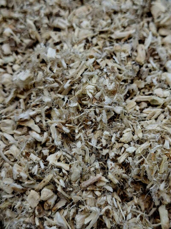 Heemstwortel (Althaea officinalis)