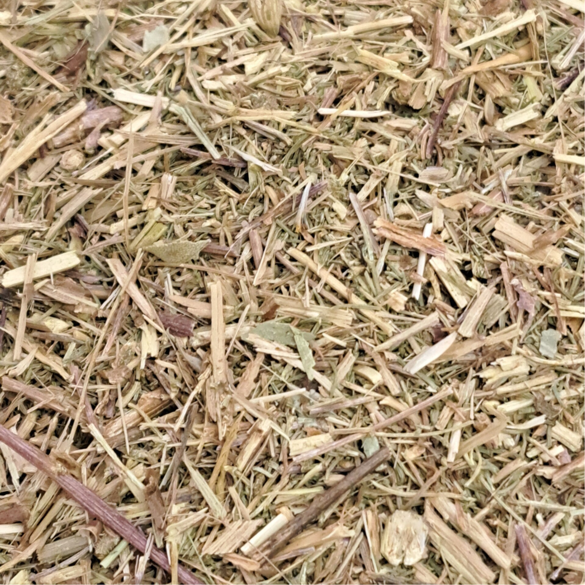 Citroenkruid (Artemisia abrotanum)