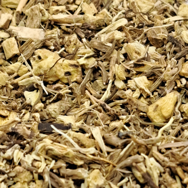 Muisdoorn wortel (Ruscus aculeatus)