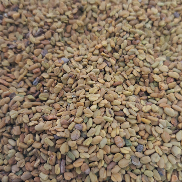 Fenegriekzaad (Trigonella foenum- graecum)