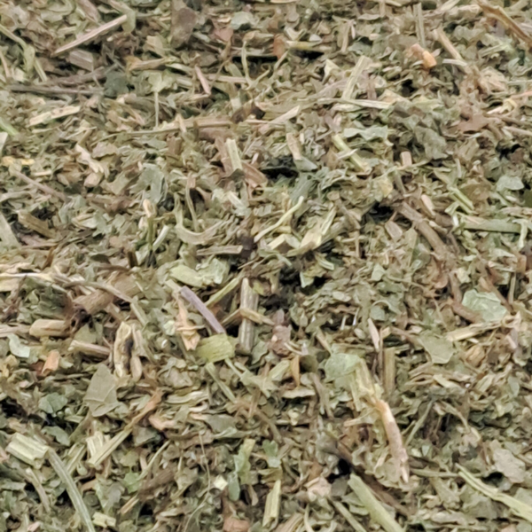 Hondsdraf (Glechoma hederacea)