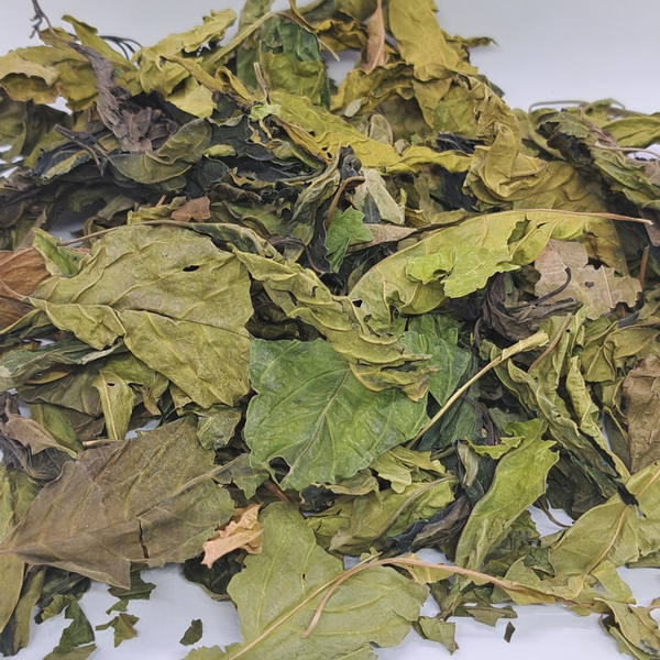 Broedoe Wiri Thee (bloedkruid)25g