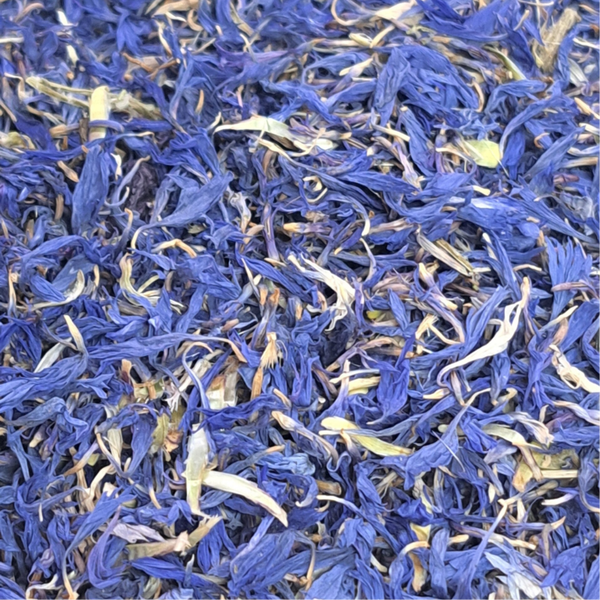 Korenbloem (Centaurea cyanus)