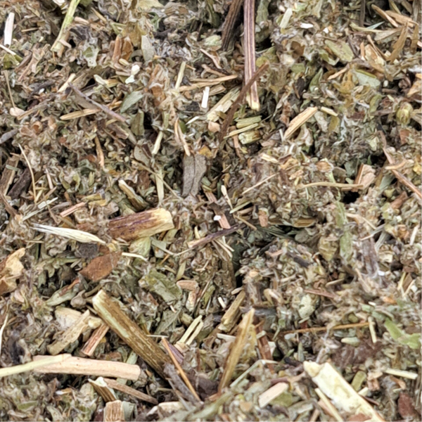 Bijvoet (Artemisia vulgaris)