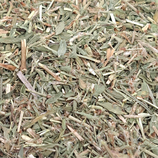 Varkensgras (Polygonum aviculare)