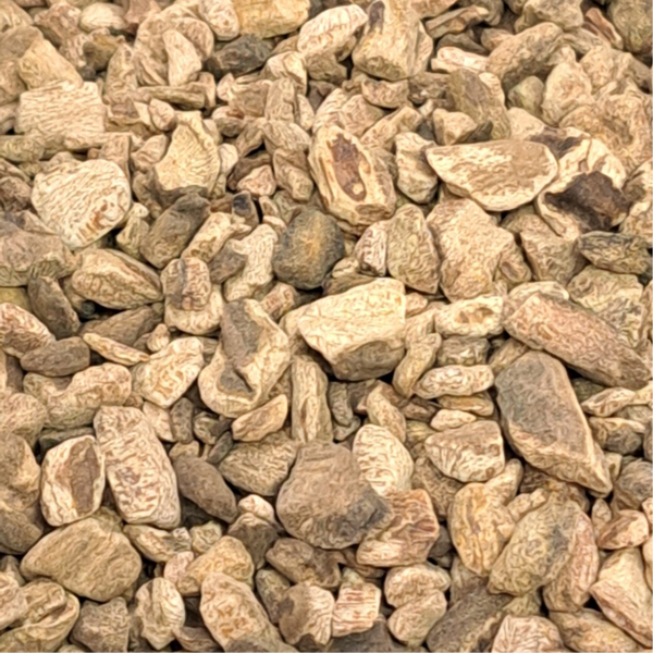 Rabarberwortel (Rheum officinale)