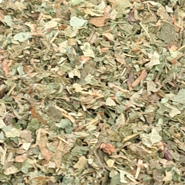 Hazelnoot blad (Corylus avellana)