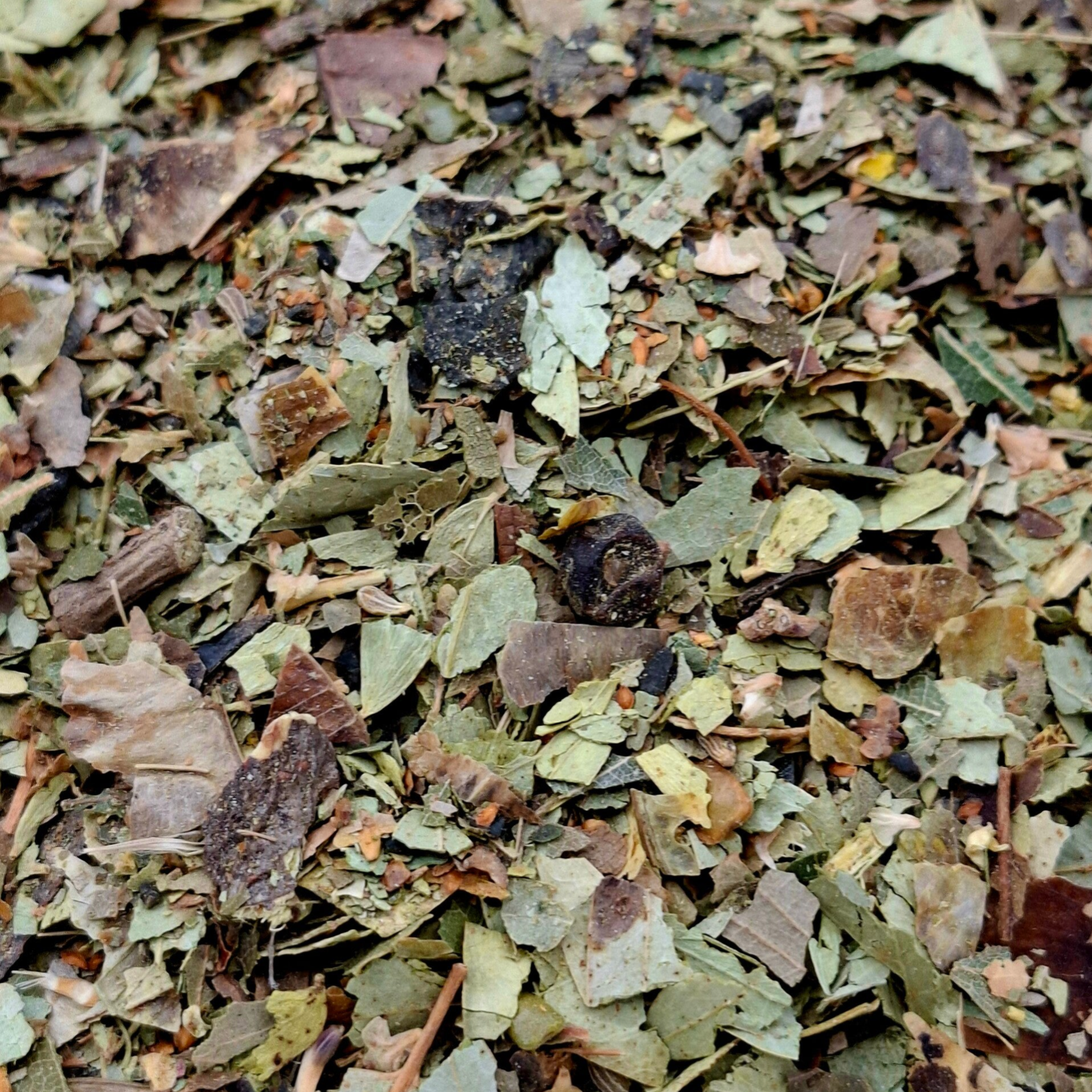 Afslank Thee-vermageringskruiden