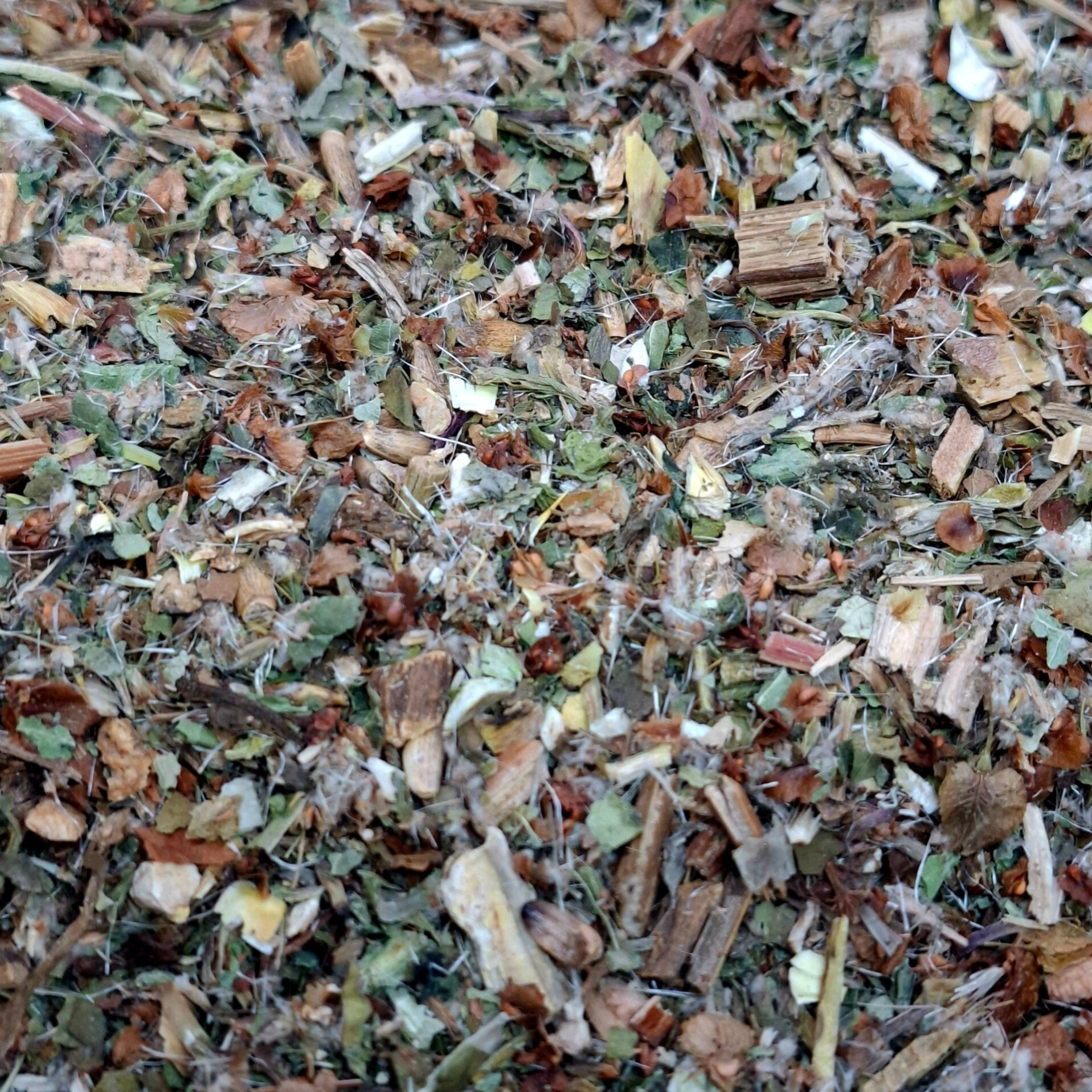 Lever en Galblaas Kruiden Thee