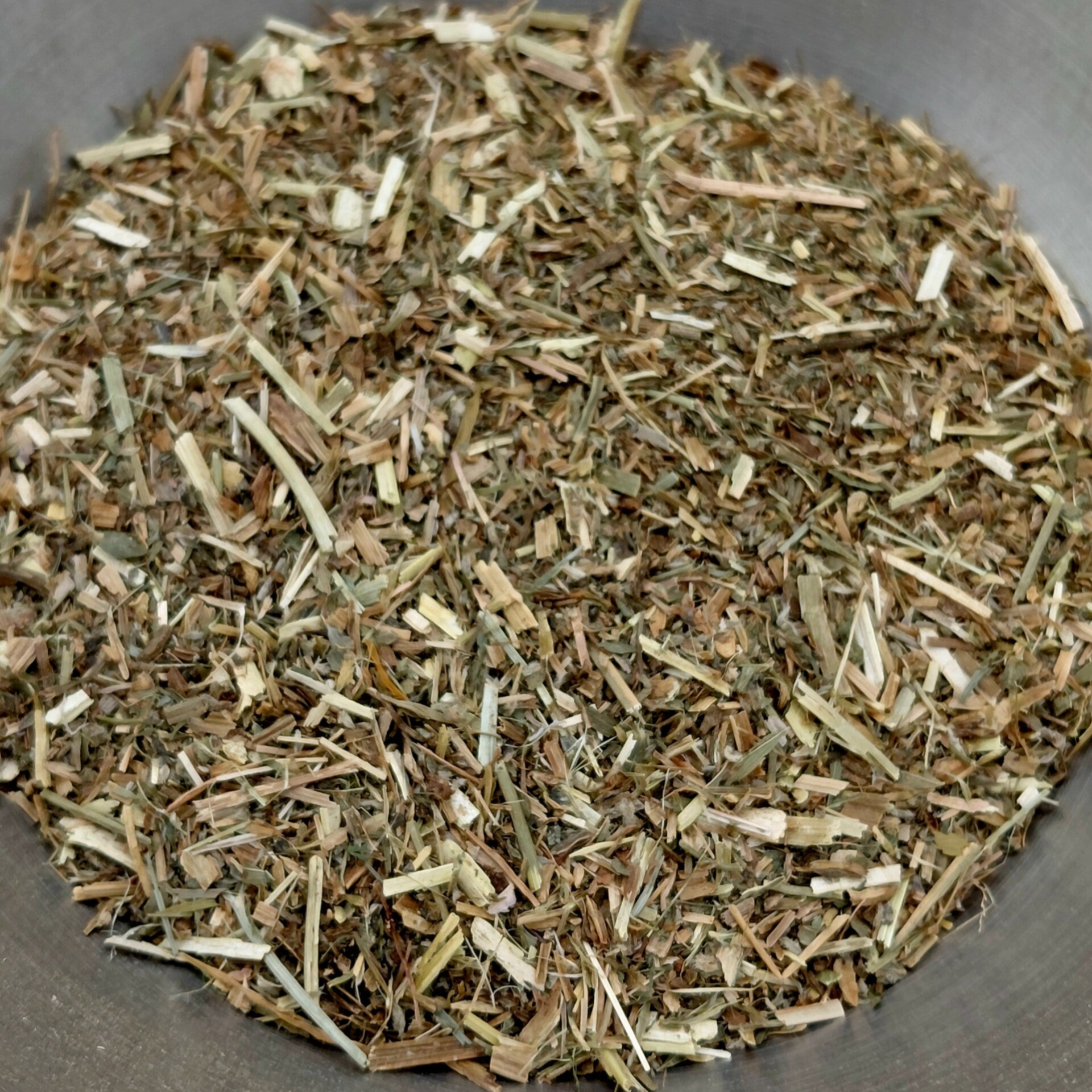 Bernagie (Borago officinalis)