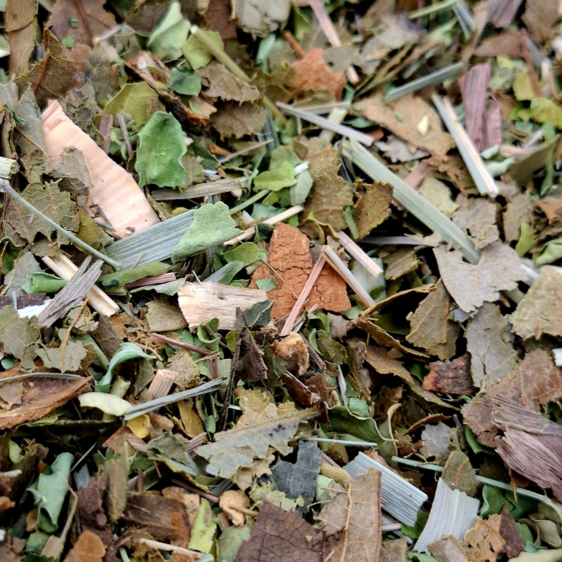 Moringa & Graviola Wellness Tea 100g