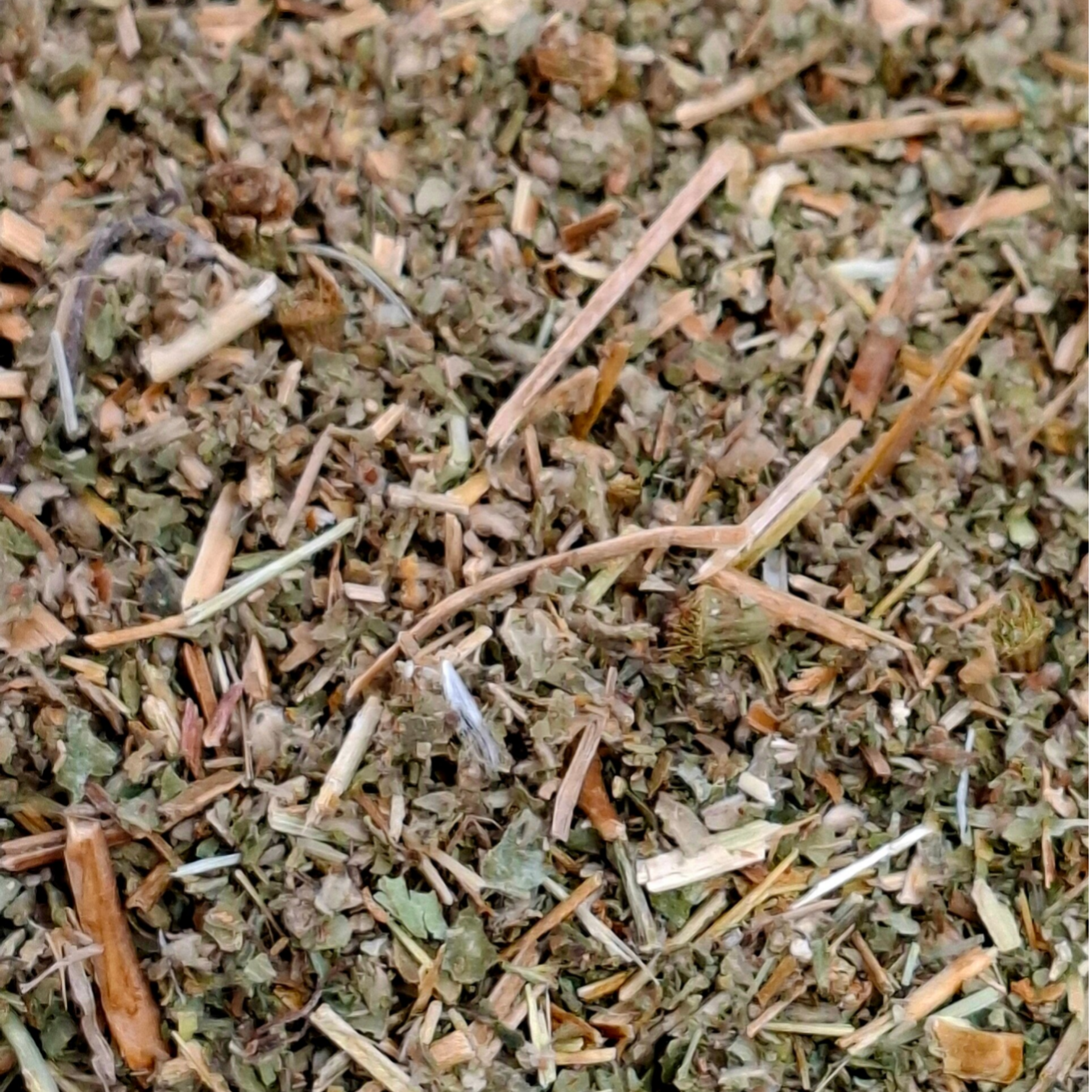 Agrimonie (Agrimonia eupatoria)