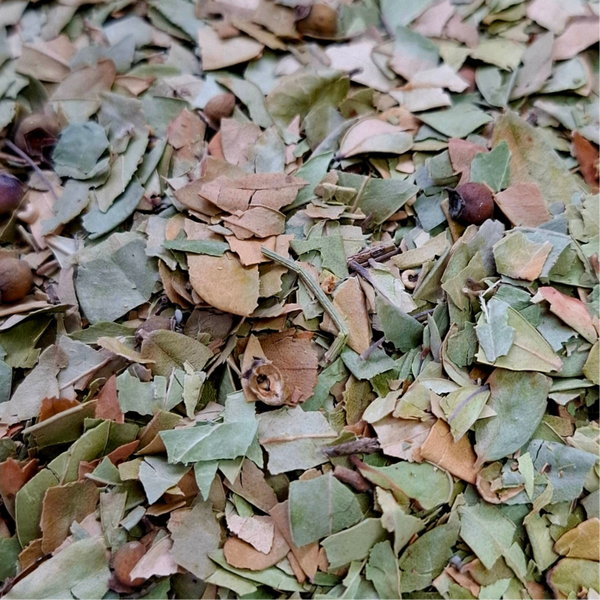 Mirte blad (Myrtus communis)