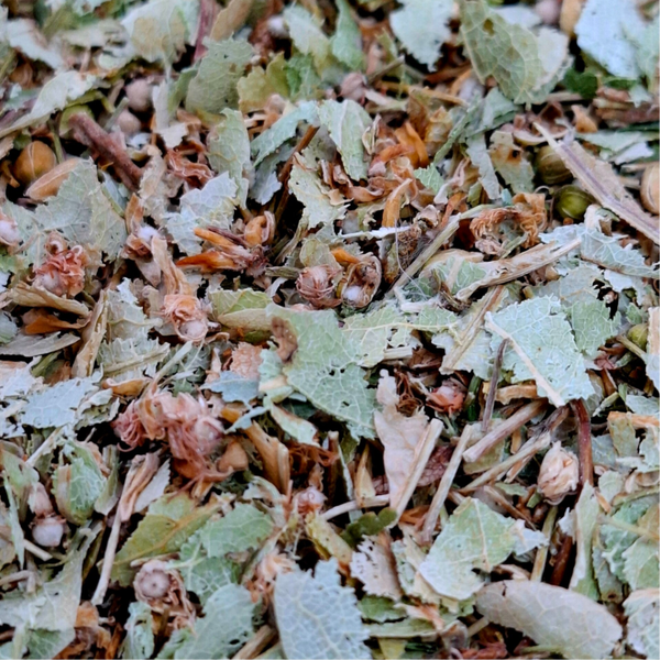 Lindeblad (Tilia cordata Miller)