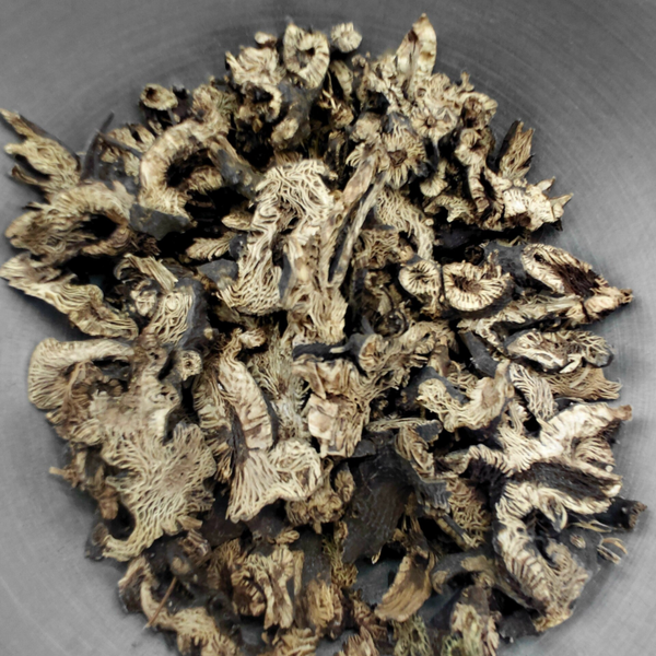 Zilverkaarswortel Gesneden (Black Cohosh)