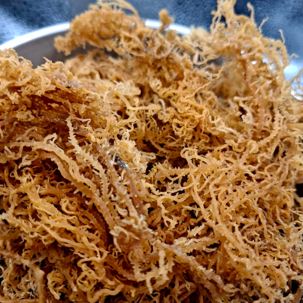 Rauwe Sea Moss van premium kwaliteit