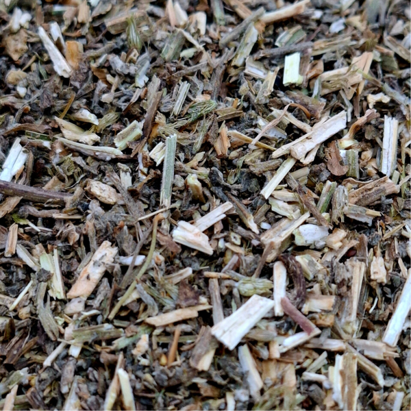 Kattenkruid (Nepeta cataria)