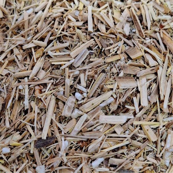 Siberisch ginseng (Eleutherococcus senticosus)
