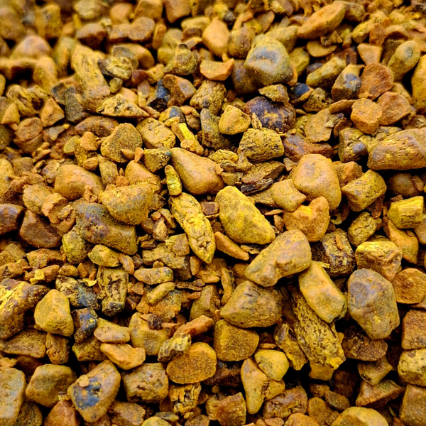 Kurkuma Wortel Stukjes (Curcuma longa)