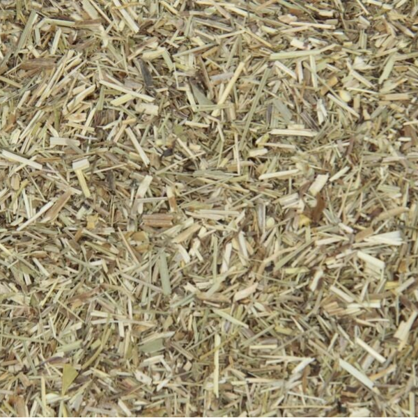 Echte walstro (Galium verum L.)