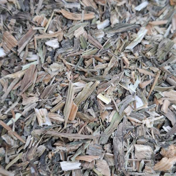 Witte waterkers (Nasturtium officinale)
