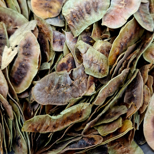 Sennepeulen (Cassia angustifolia)
