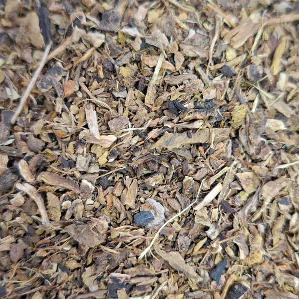 Krulzuring wortel (Rumex crispus)