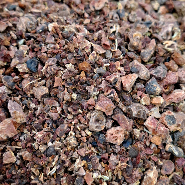 Bloedwortel (Potentilla erecta)