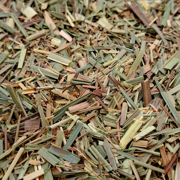 Citroengras (Lemongrass)