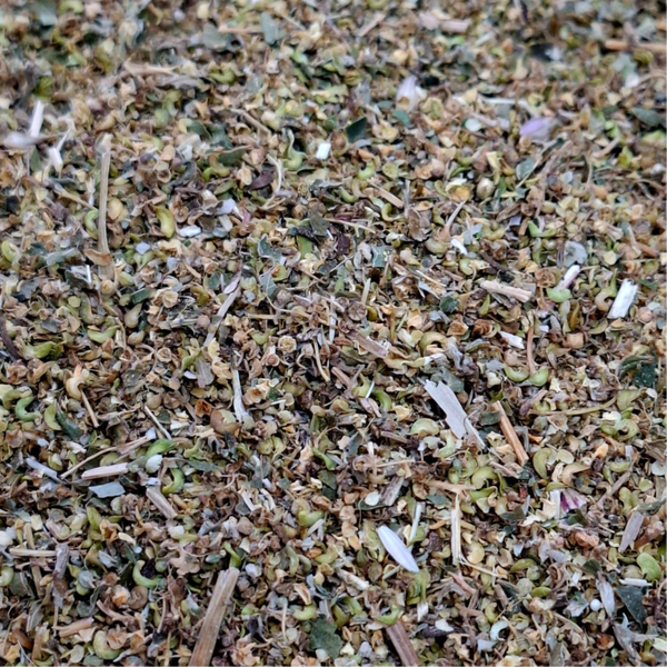 Moerasspirea bloesem (Filipendula ulmaria)